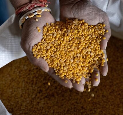 APEDA facilitated the shipment of one metric tonne of GI-tagged Gulbarga Tur Dal from Karnataka to the Maldives.