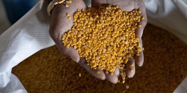 APEDA facilitated the shipment of one metric tonne of GI-tagged Gulbarga Tur Dal from Karnataka to the Maldives.