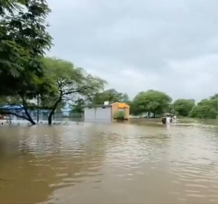 All schools in Chhattisgarh are closed today due to incessant rain for the last two days.