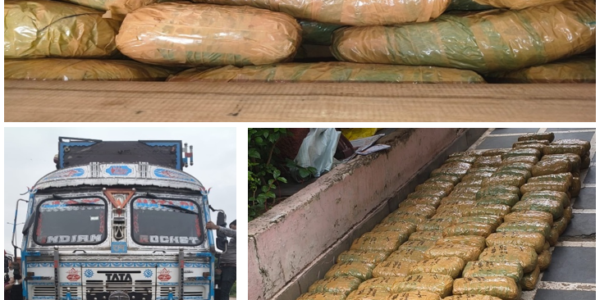DRI intensified its crackdown on illicit cannabis smuggling by seizing approximately 740 kilograms of cannabis and charas, and arrested 13 individuals