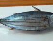 ICAR-CMFRI has advised consumers not to stop eating tuna based on reports of parasites found in fish from a specific area.