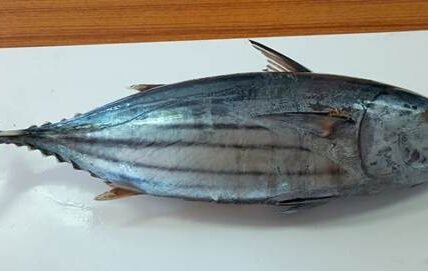ICAR-CMFRI has advised consumers not to stop eating tuna based on reports of parasites found in fish from a specific area.