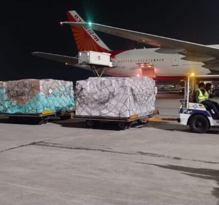 India sent 10 tonnes of antiretroviral medicines to Botswana for HIV AIDS treatment.