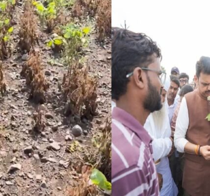 305 talukas in Maharashtra declared drought-hit farmers to receive assistance of ₹5,000.