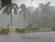 Cyclonic storm Arnab has weakened into an area of ​​low pressure.