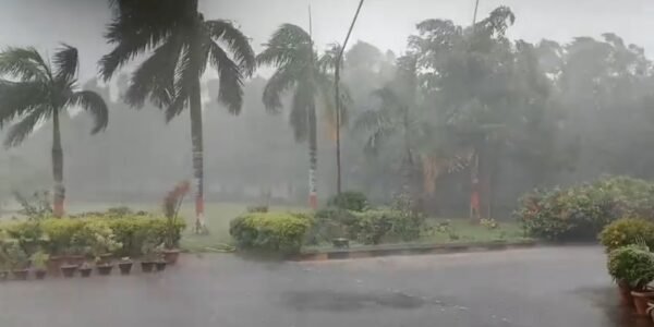 Cyclonic storm Arnab has weakened into an area of ​​low pressure.