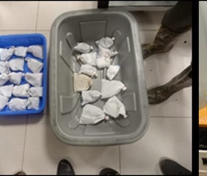 DRI busts wildlife smuggling racket at Trichy airport, recovers 45 live reptiles