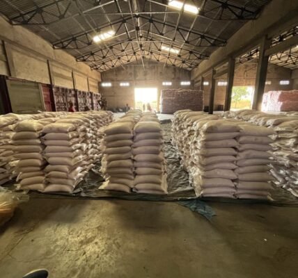Illegal import of over 7.3 million kg of rock salt of Pakistani origin busted
