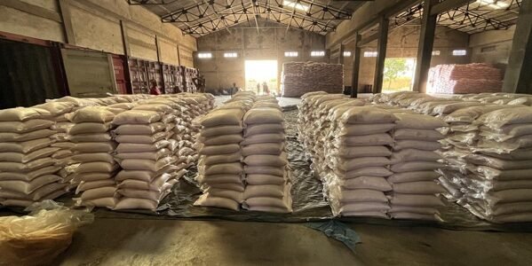 Illegal import of over 7.3 million kg of rock salt of Pakistani origin busted