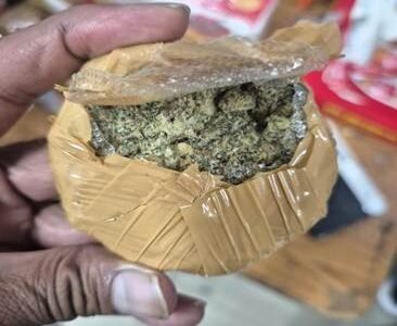 Rajasthan unit of the CBN intercepted the smuggling of 1.080 kg of hydroponic cannabis concealed in an international parcel from Thailand