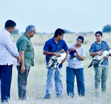 Union Environment Minister released two male Great Indian Bustards into the wild at the Desert National Park in Jaisalmer