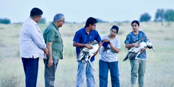 Union Environment Minister released two male Great Indian Bustards into the wild at the Desert National Park in Jaisalmer