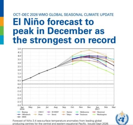 World Meteorological Organization has expressed concern that the current El Niño could intensify further