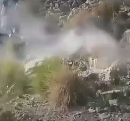 Yemeni army claimed to have inflicted heavy losses on Houthi fighters on some of the country key fronts